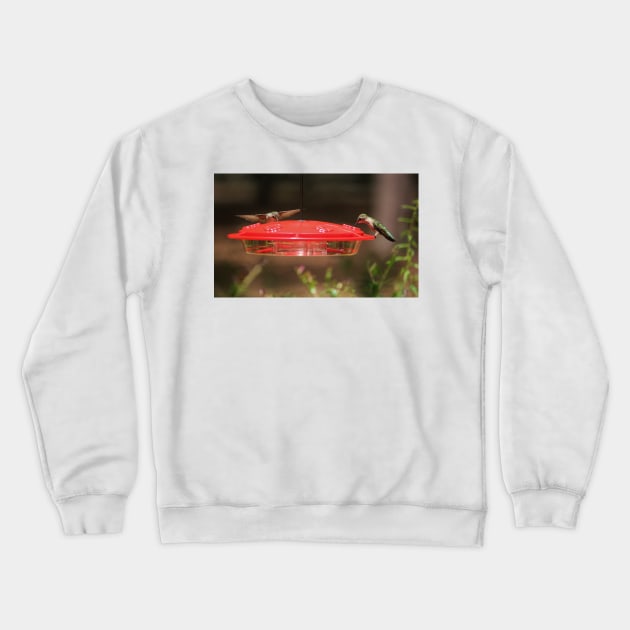 Hummingbirds At Feeder Crewneck Sweatshirt by Cynthia48